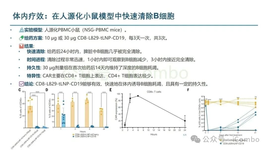 体内CAR-T临床转化前动物模型疗效与安全性数据图