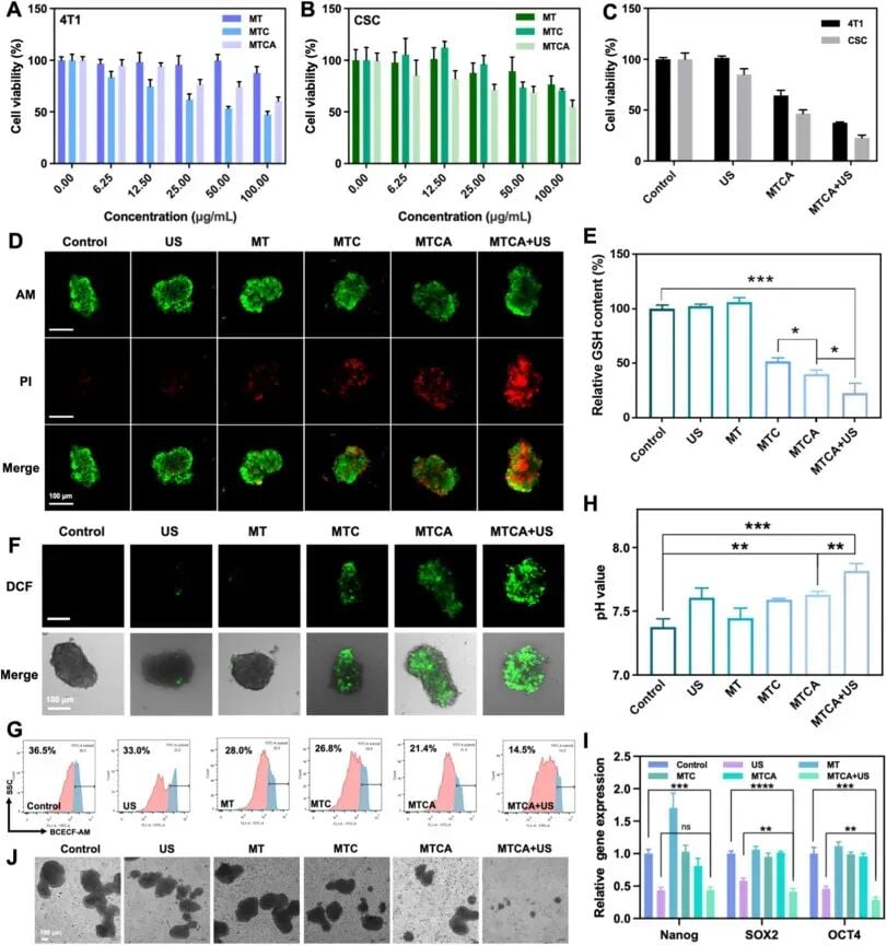 MTCA联合超声提升细胞毒性并扰乱pH稳态与氧化还原稳态的体外实验结果图