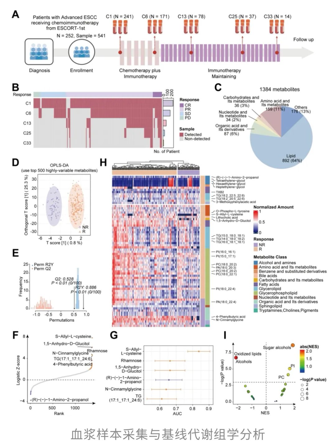 治疗前SAC水平与免疫治疗反应差异的代谢组学图