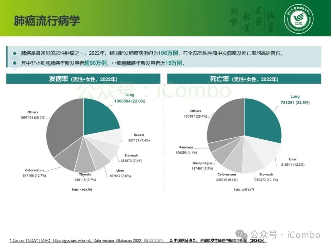 非小细胞肺癌免疫治疗再挑战前的分层评估要点图