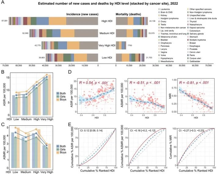 按人类发展指数（HDI）划分的全球儿童癌症负担对比图