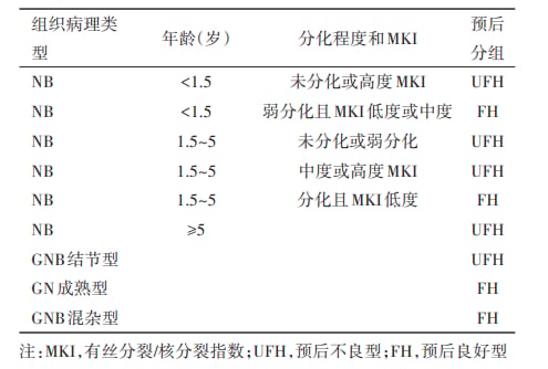 神经母细胞瘤病理分类与预后分组解读图