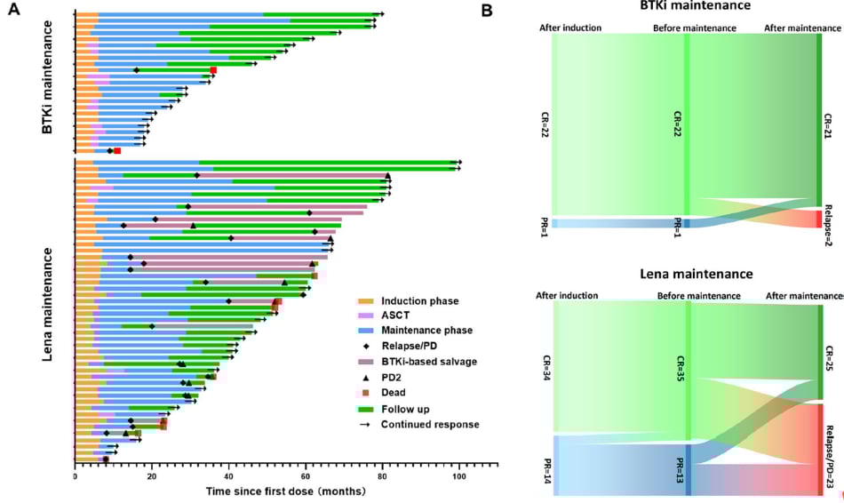 PCNSL维持治疗期间患者的治疗反应及停药原因深度对比图
