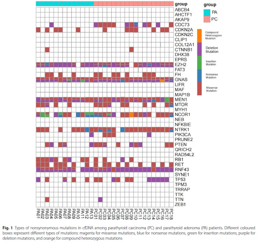 甲状旁腺肿瘤患者血浆cfDNA中的基因突变谱图