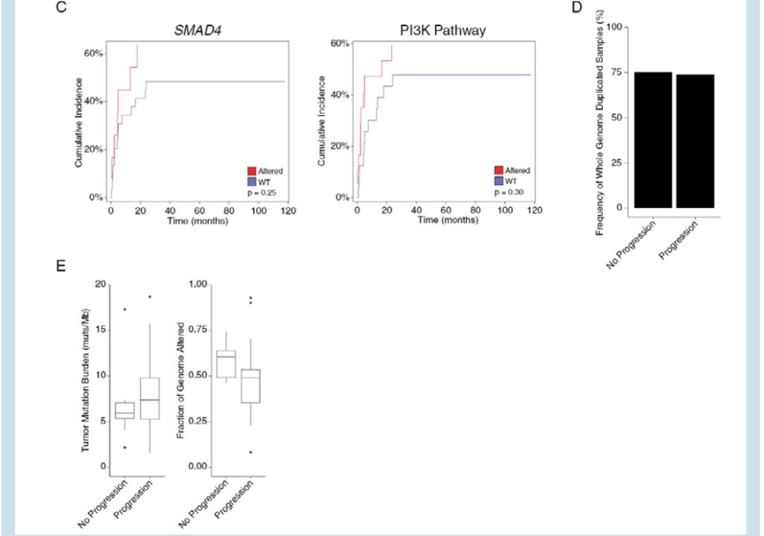 SMAD4与PI3K通路突变对颅内进展风险的影响分析