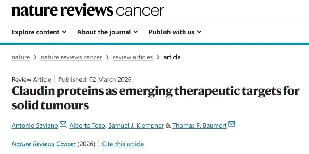 Claudin蛋白在多种实体瘤中的异常表达分布及其促癌信号通路激活机制示意图