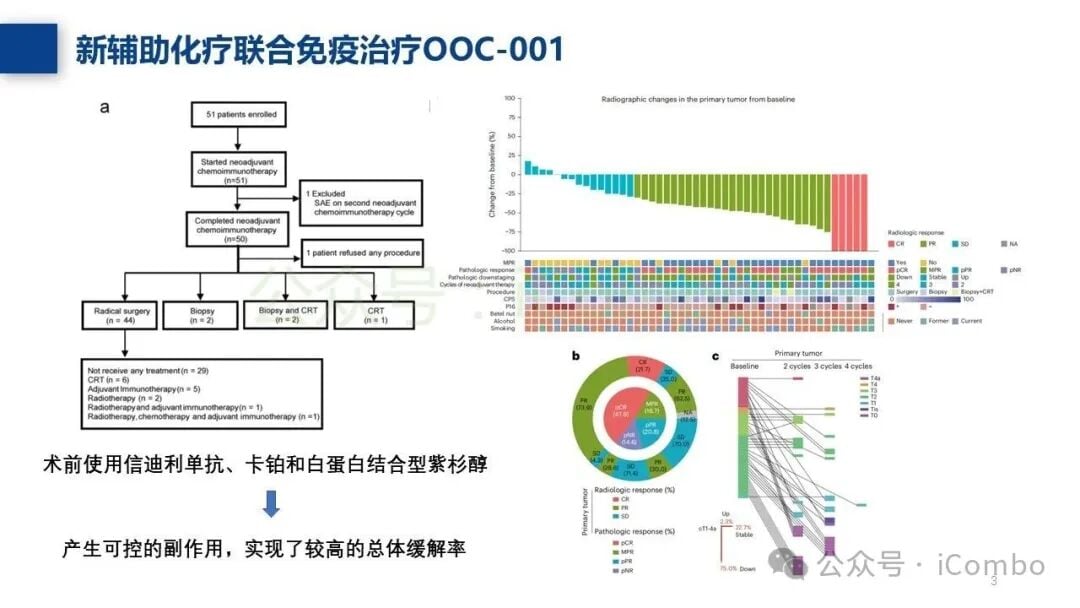 免疫治疗疗效与免疫细胞衰老特征的相关性分析
