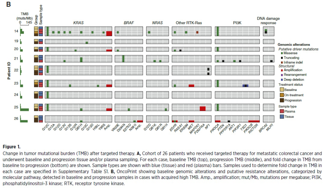 获得性高TMB病例的基因突变谱分析