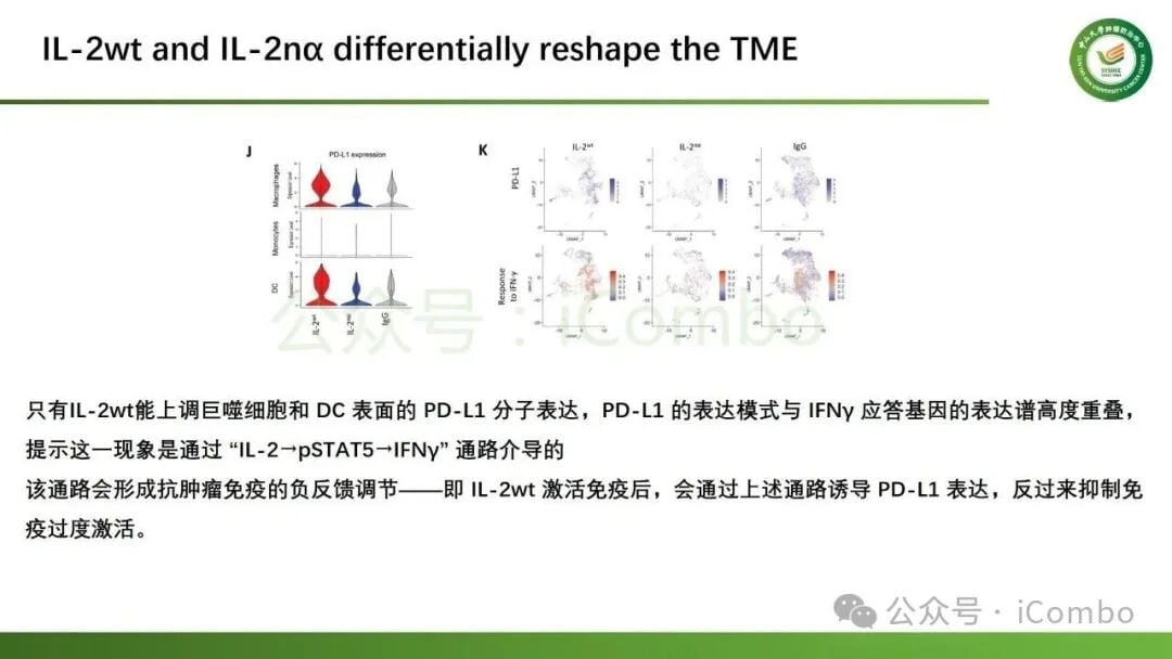 抗PD-1单抗疗效与IL-2-CD25自动分泌通路的相关性分析