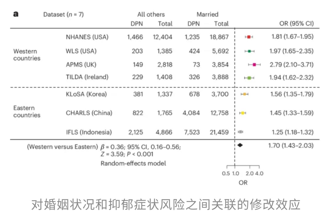 教育程度与性别等因素对单身者抑郁风险的调节作用图