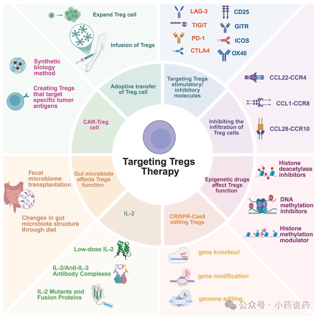 全球靶向Treg细胞的免疫治疗临床试验及药物开发策略分布