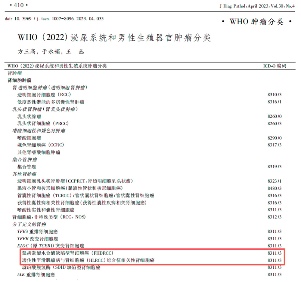 WHO泌尿系统和男性生殖器官肿瘤分类标准