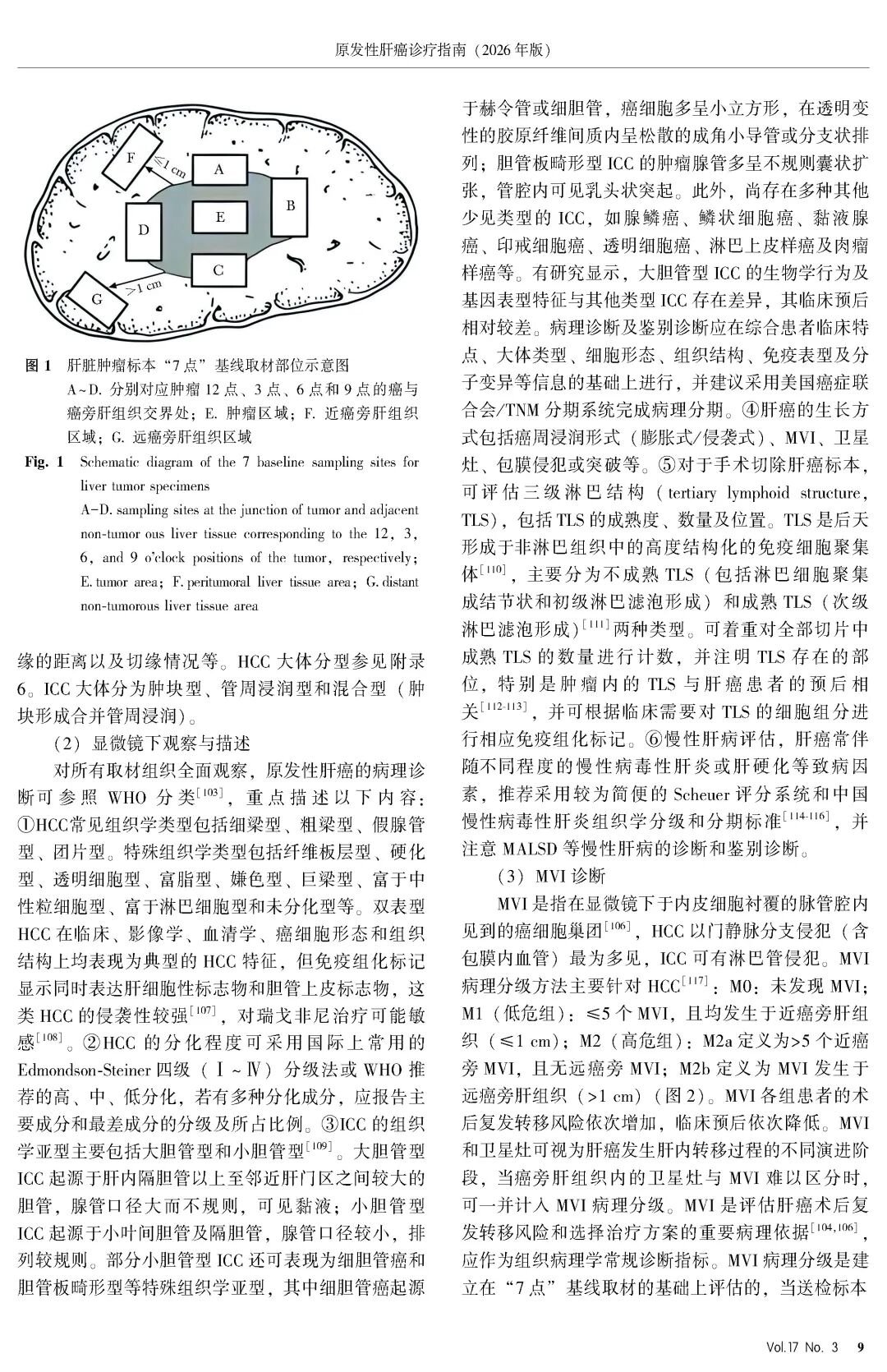 2026版原发性肝癌诊疗指南官方文献第9页