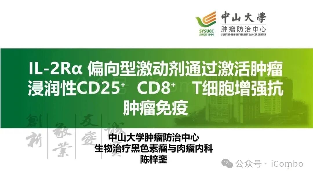 传统高剂量IL-2疗法与新型IL-2受体偏向性设计概念图
