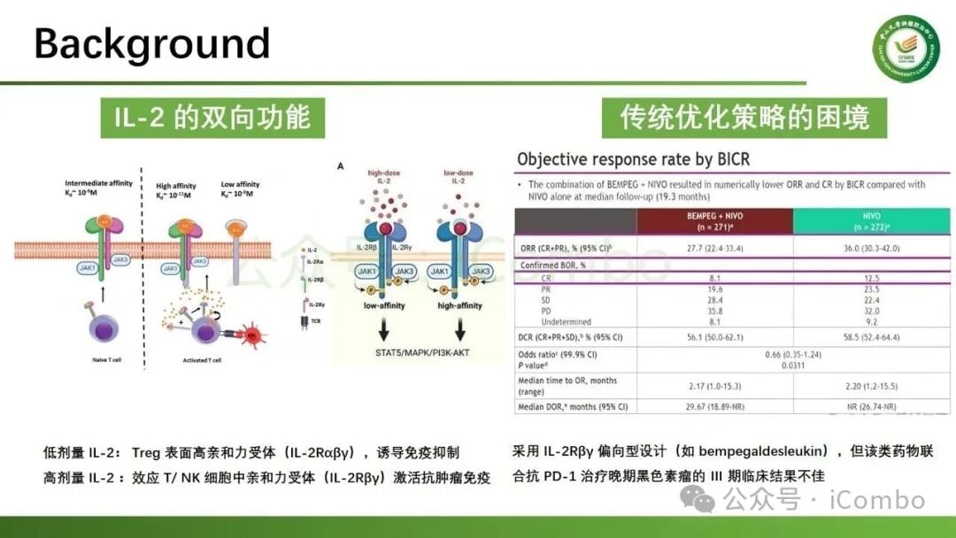 CD25分子在IL-2免疫治疗中对于抗肿瘤效应的必需性验证