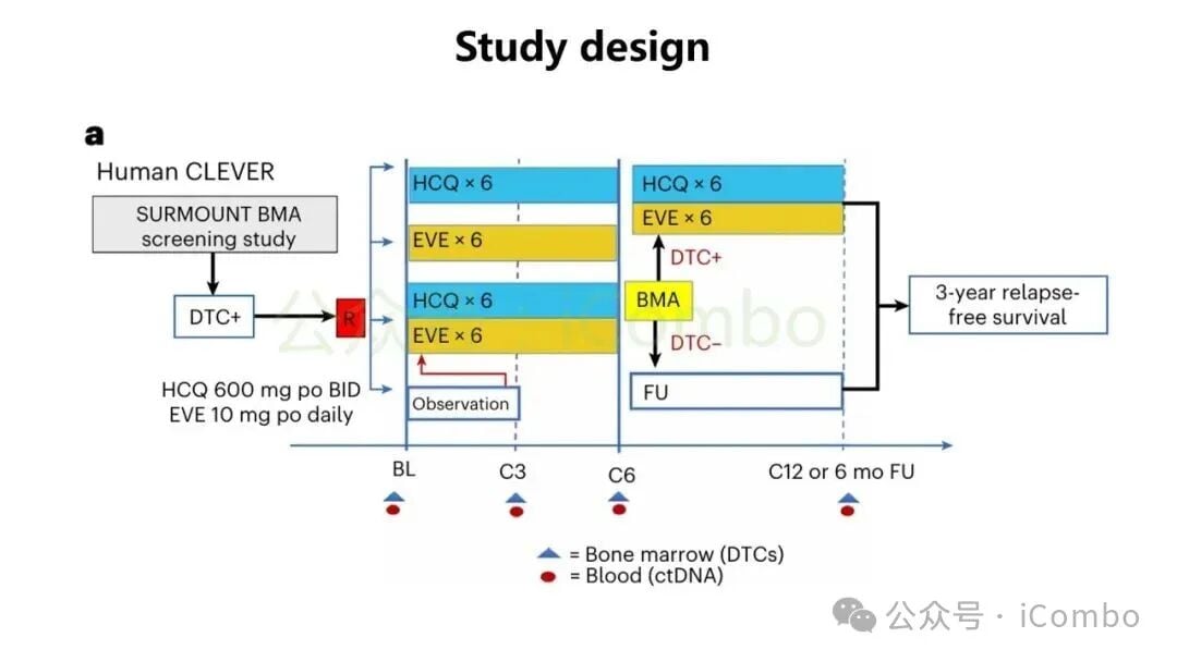 CLEVER研究中DTCs转阴者与持续阳性者的无复发生存期生存曲线