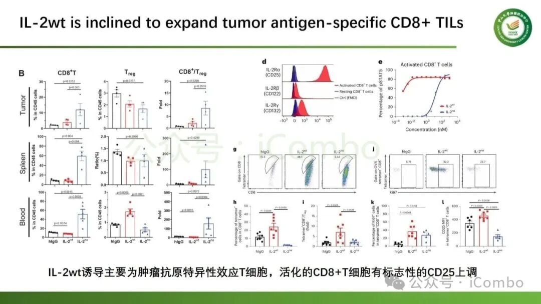 IL-2Rα偏向性激动剂对肿瘤特异性CD8+T细胞的选择性扩增