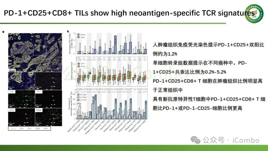IL-2Rα偏向性激动剂在体内的药代动力学及毒理学安全性评估