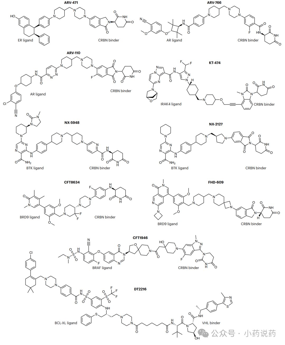 处于临床试验阶段的PROTACs降解剂化学结构图