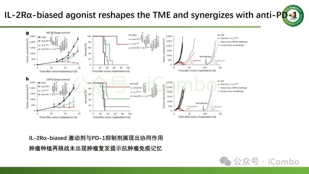 新型IL-2Rα偏向激动剂活化CD25+CD8+T细胞的分子信号通路
