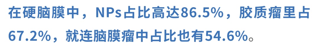 纳米塑料在脑组织检出塑料中占主导地位的数据