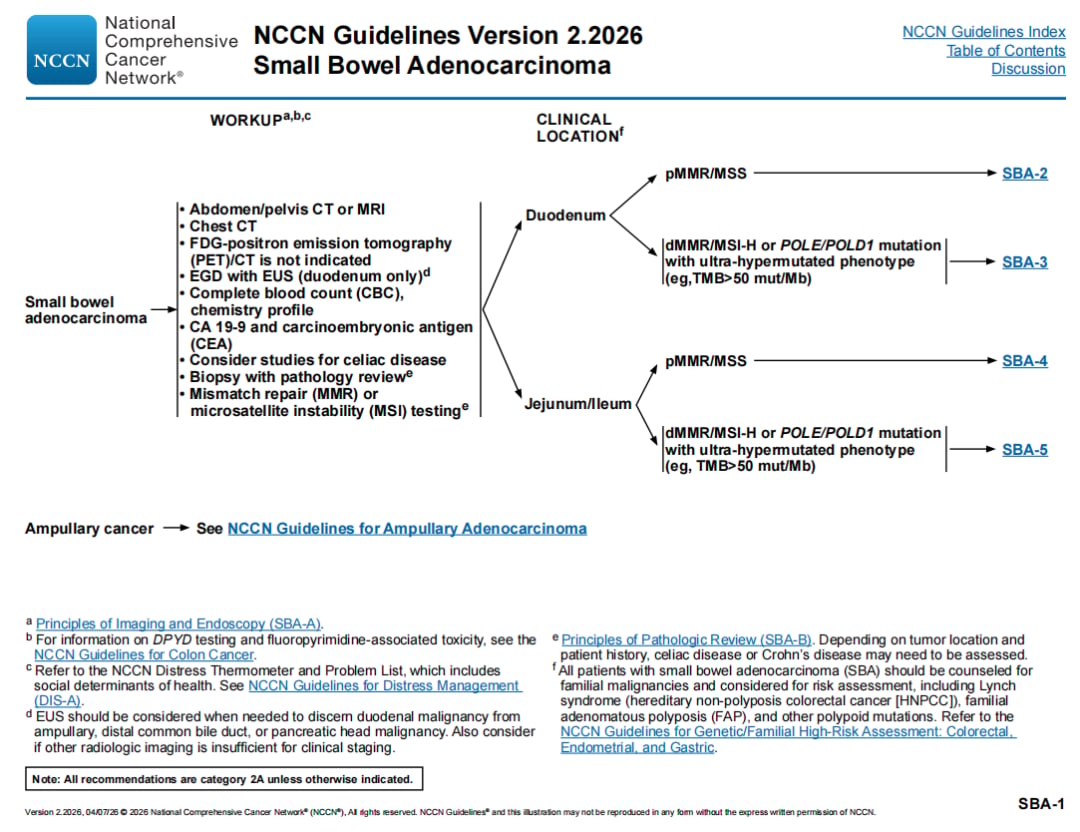 2026 NCCN指南小肠腺癌治疗分层路径