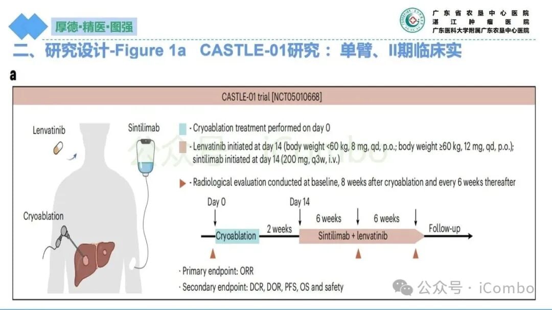 冷冻消融与靶免联合治疗重塑肿瘤微环境的免疫机制图