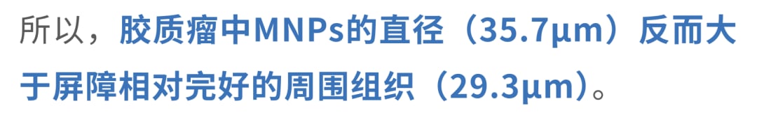胶质瘤破坏血脑屏障导致微塑料加速入侵的病理机制