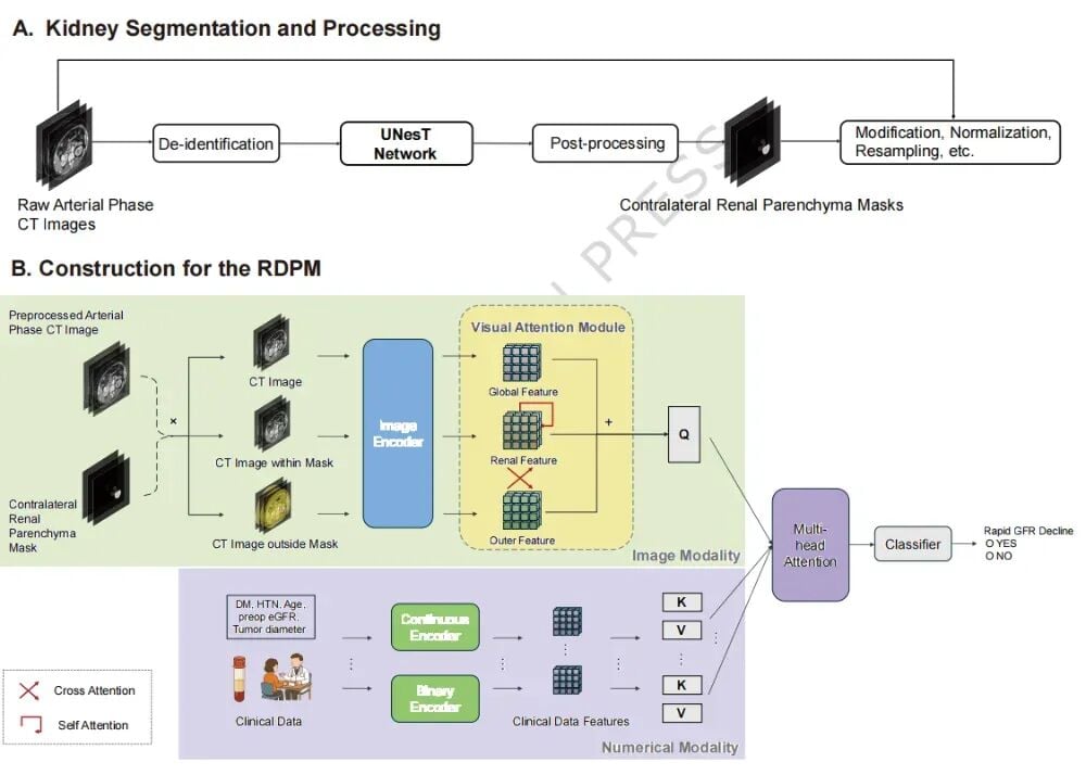 RDPM多模态AI模型网络架构与分割流程