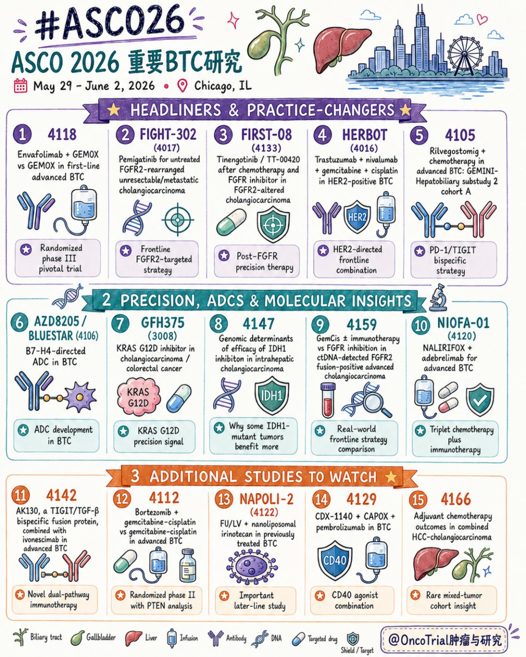 ASCO 2026胆道系统肿瘤免疫与靶向治疗研究进展总结