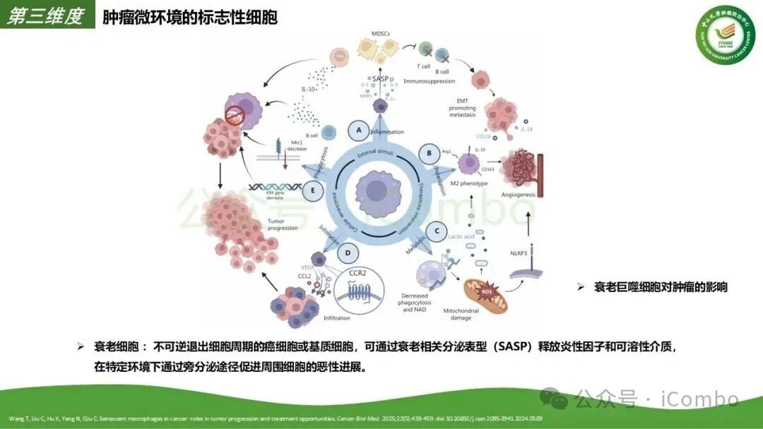 MedFind海外抗癌药品直邮服务流程