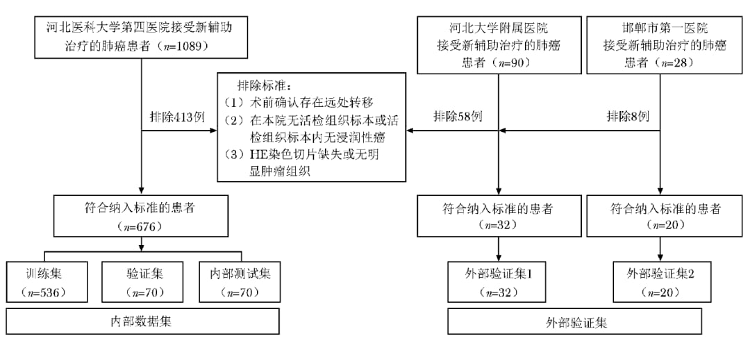 肺癌新辅助治疗多模态预测模型患者筛选流程图