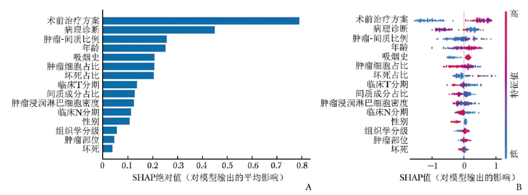 新辅助治疗疗效预测临床特征重要性排序与SHAP分析