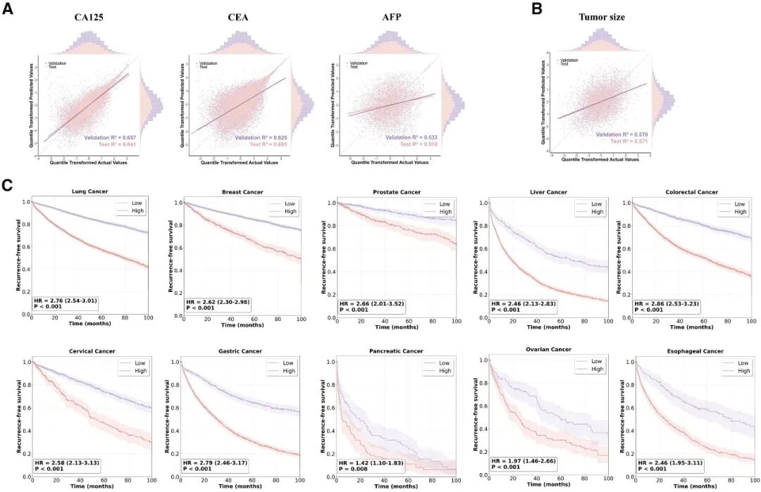 Oncoformer实现肿瘤随访动态监测与预后分层