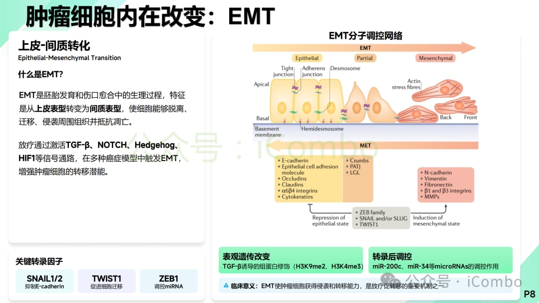 放疗联合免疫治疗抑制转移策略