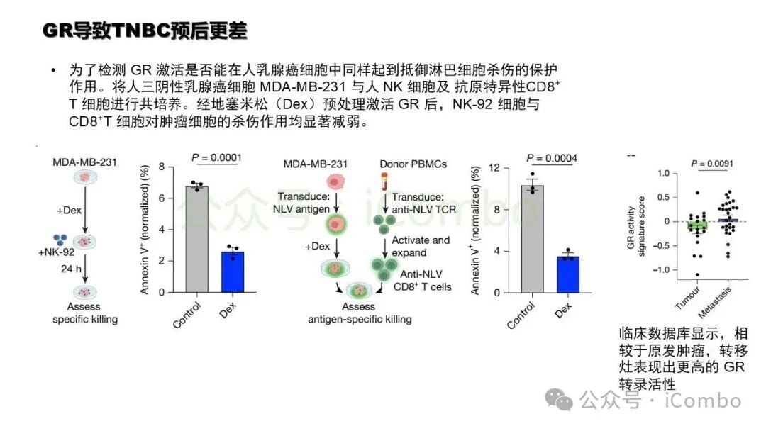 不同浓度GR拮抗剂干预效果梯度测试