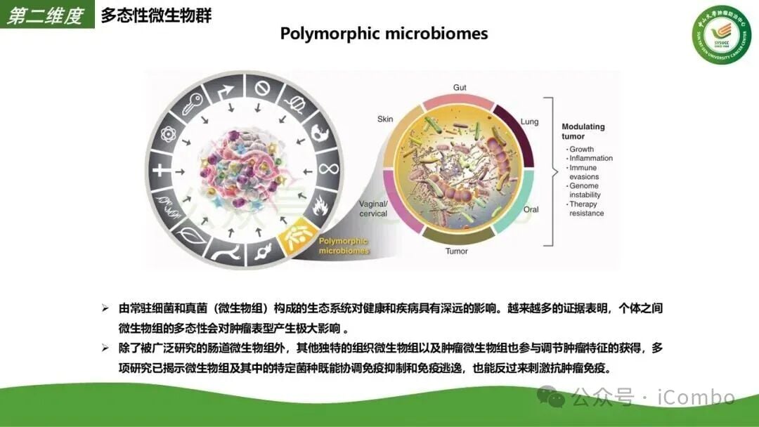 肿瘤免疫微环境冷热转化策略