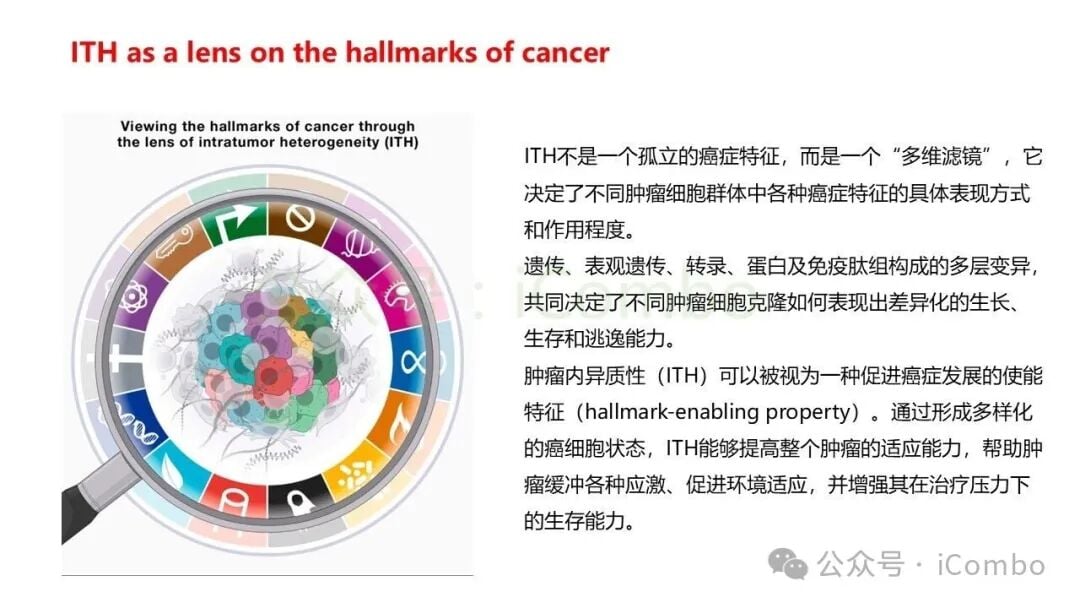 基因组突变向免疫表型转化的多级调控图解