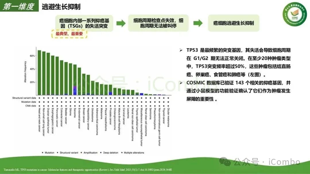 表型可塑性与干细胞样特征转化