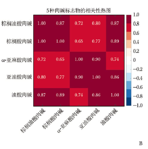 5种肉碱分子间Spearman相关性热图分析