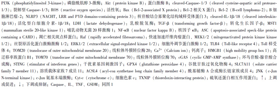 中药调控焦亡治疗肺癌的作用机制汇总表第4部分
