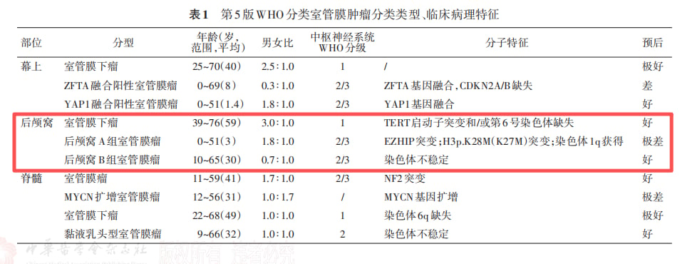 室管膜肿瘤分子分型解读