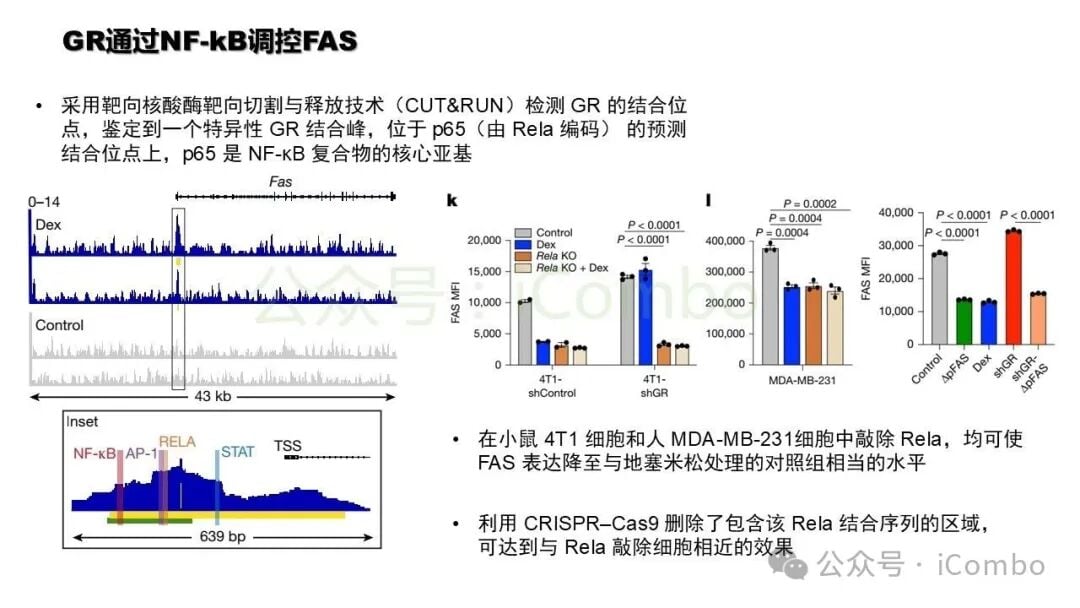 多重荧光免疫组化展示免疫微环境重塑