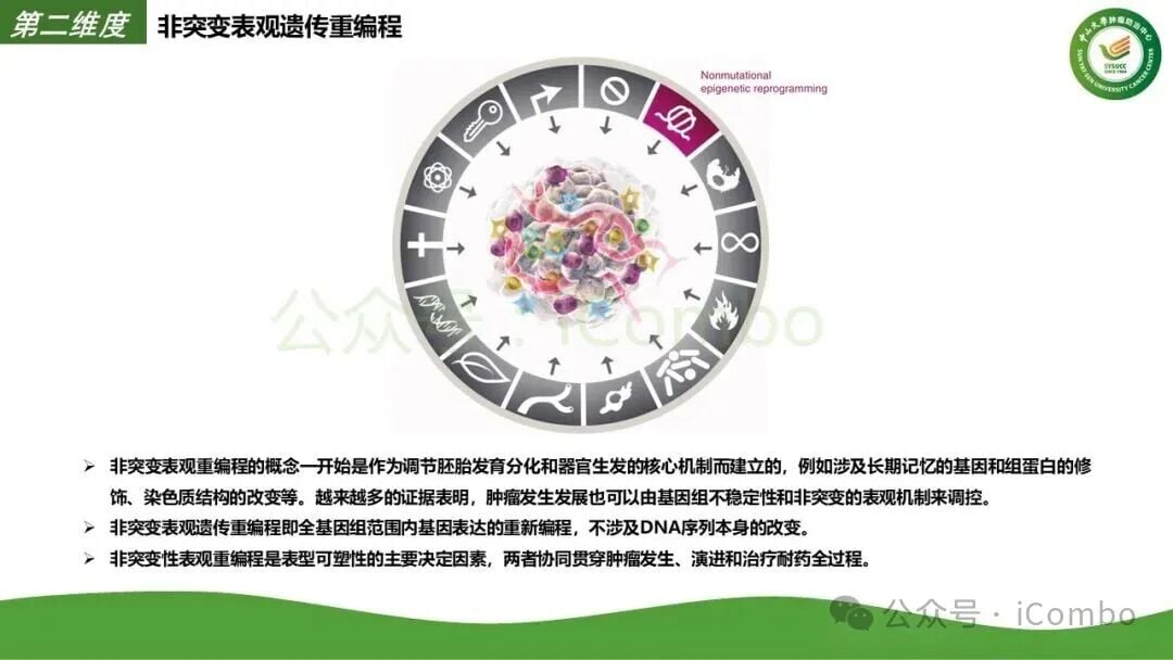 前沿靶向联合方案临床响应率对比