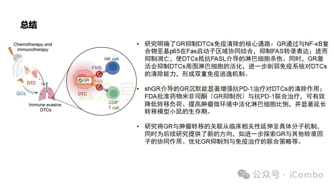 糖皮质激素-FAS轴调控模型全景总结图
