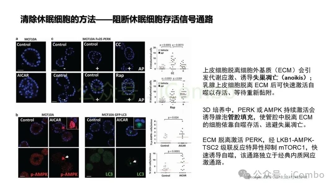 抗肿瘤复发的综合管理与临床干预路径