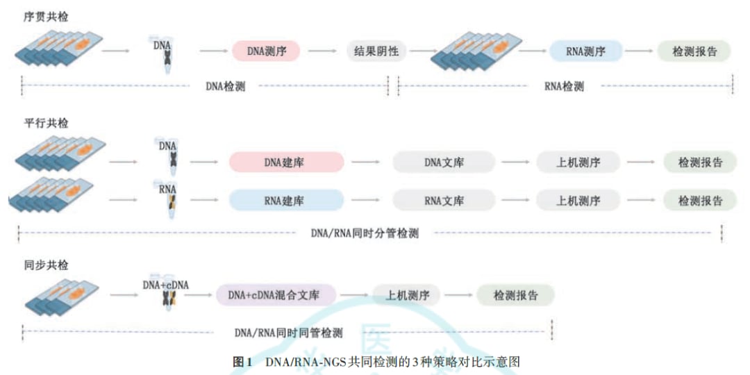 专家共识推荐选择最合适的共检策略