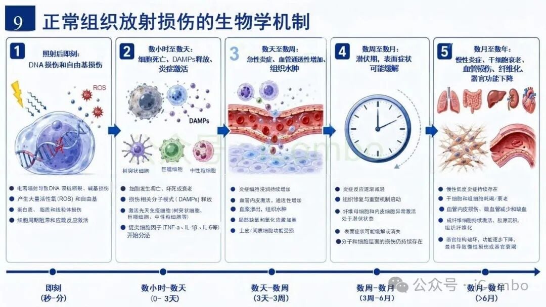 放射性肺炎早期症状与影像学表现