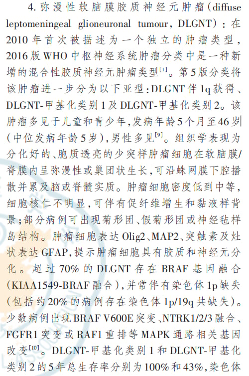 胶质神经元肿瘤组织病理学染色切片