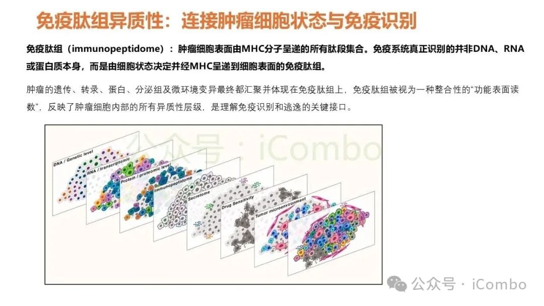 靶向多组学异质性的前沿免疫联合治疗模式